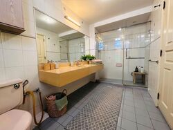 HONG LEE PLACE (D19), Terrace #547633301
